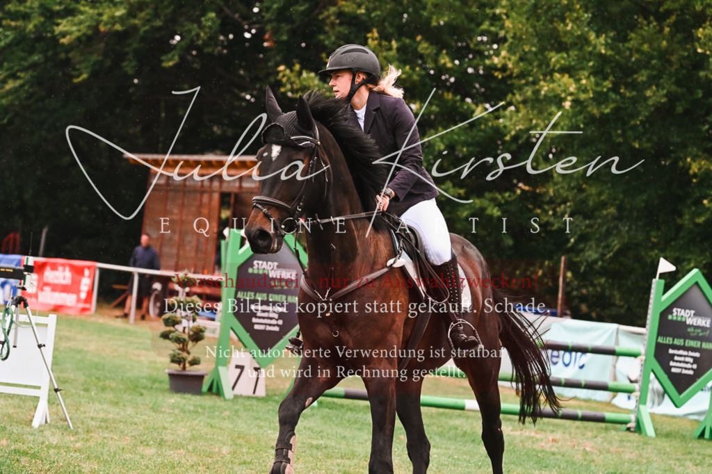 DSC_6300 | Pferde- und Turnierfotografie in Westsachsen. Pferdeportraits, Auftragszeichnungen und intuitive Kunst.