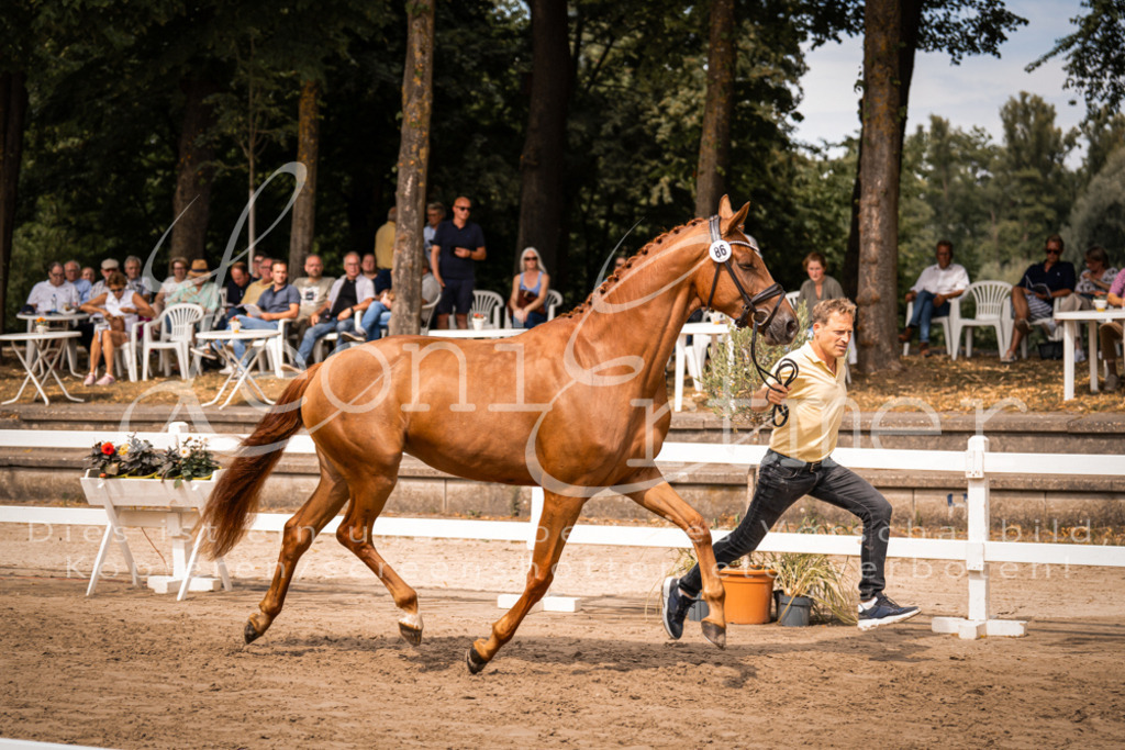 5.Fr00033 | Leoni Ertmer Photography - Realisiert mit Pictrs.com