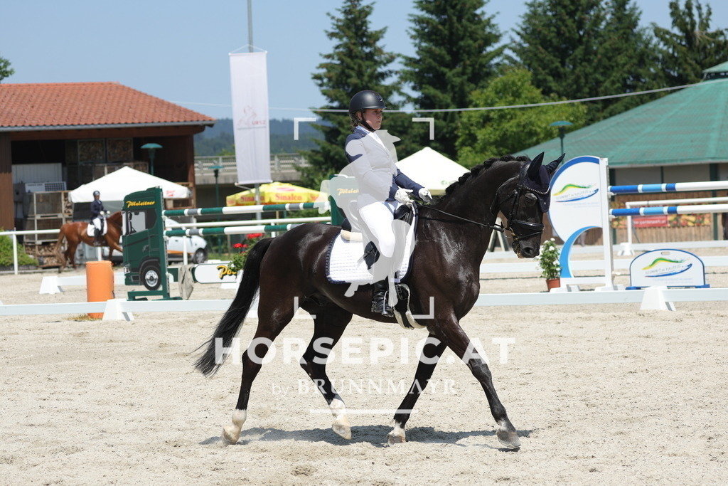 0P6A1373 | Willkommen bei Brunnmayr - Design & Fotografie – Ihrem Spezialisten für Reitturniere und Pferdeveranstaltungen in Oberösterreich, Salzburg und Bayern! Seit über 17 Jahren sind wir leidenschaftlich dabei.