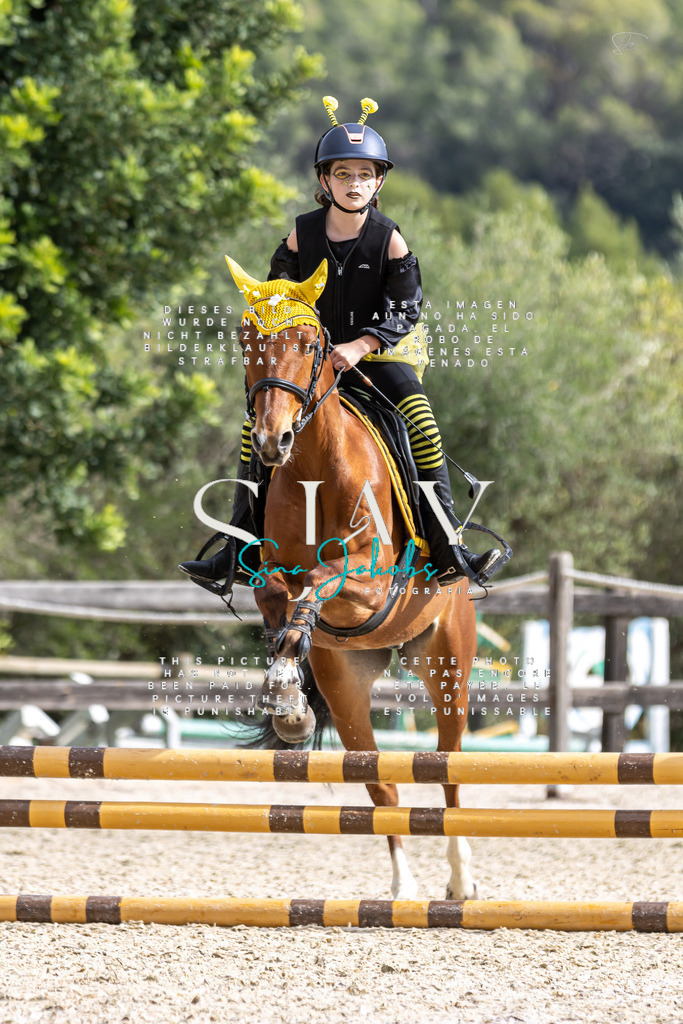 IMG_2206 | s-jay-photography - Realisiert mit Pictrs.com