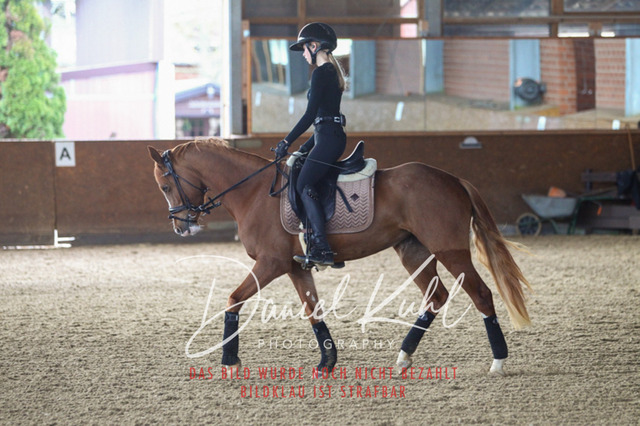 DKP42593 | Turniersportfotografie; Pferdefotografie; Dressurfotografie
