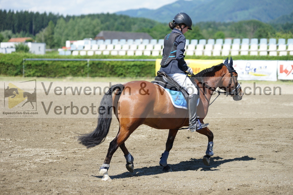 DSC05932 | equestrian-live-com