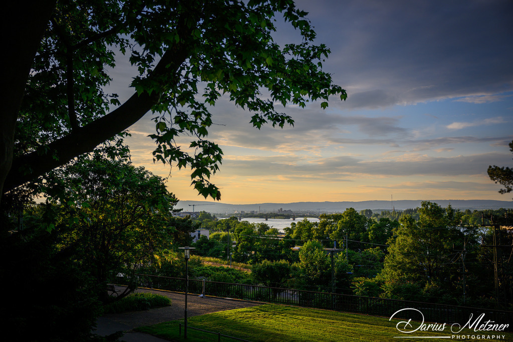 Der Stadtpark in Mainz | Der Mainzer Stadtpark