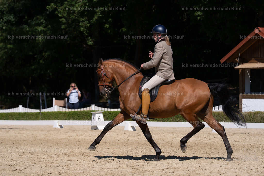 WS_DR_62_sinafilmart_IN04054 | working equitationturnier fotograf videograf stoibphotography marixx film working equitation deutschland reitsport turnierfotografie eventfotografie equestrian events