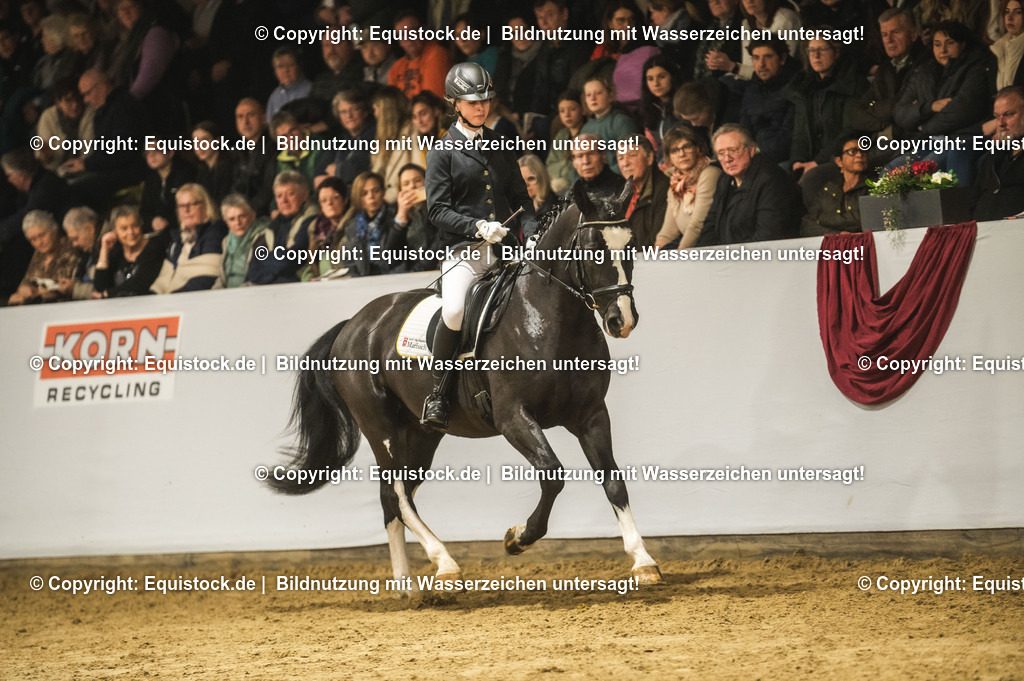 20240302_Hengstvorstellung_Marbach_TOMsPiC_0688 | equistock