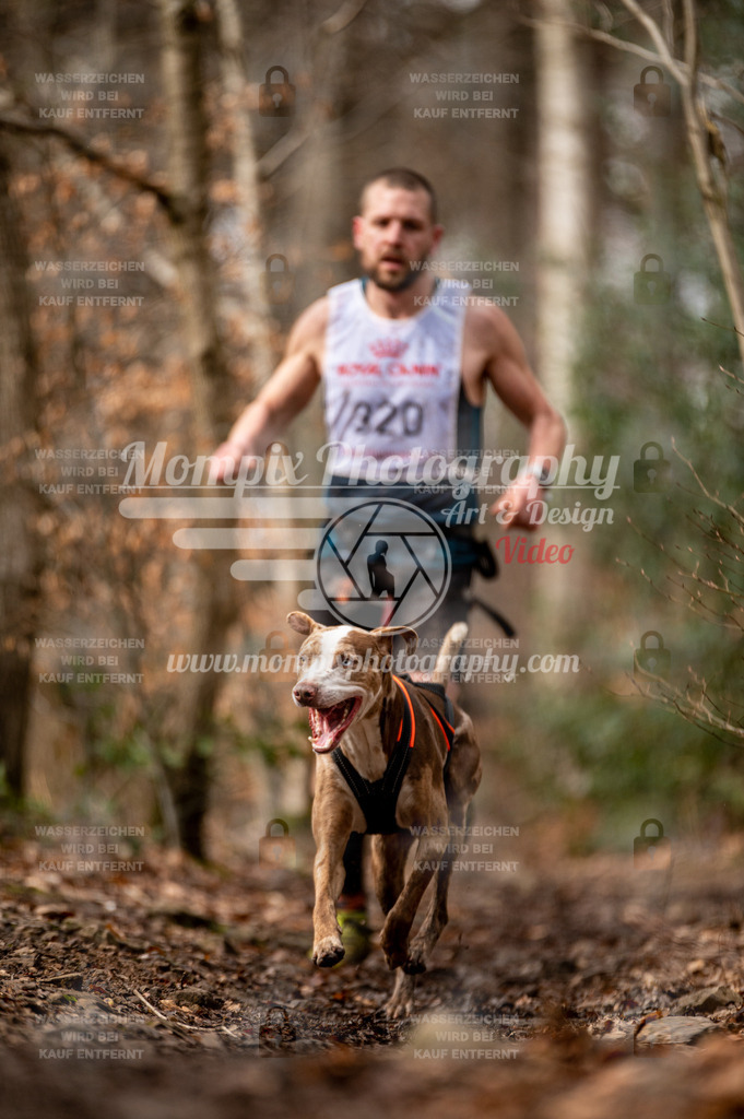 SPA_2023_DIM_CCK-91 | PayLife