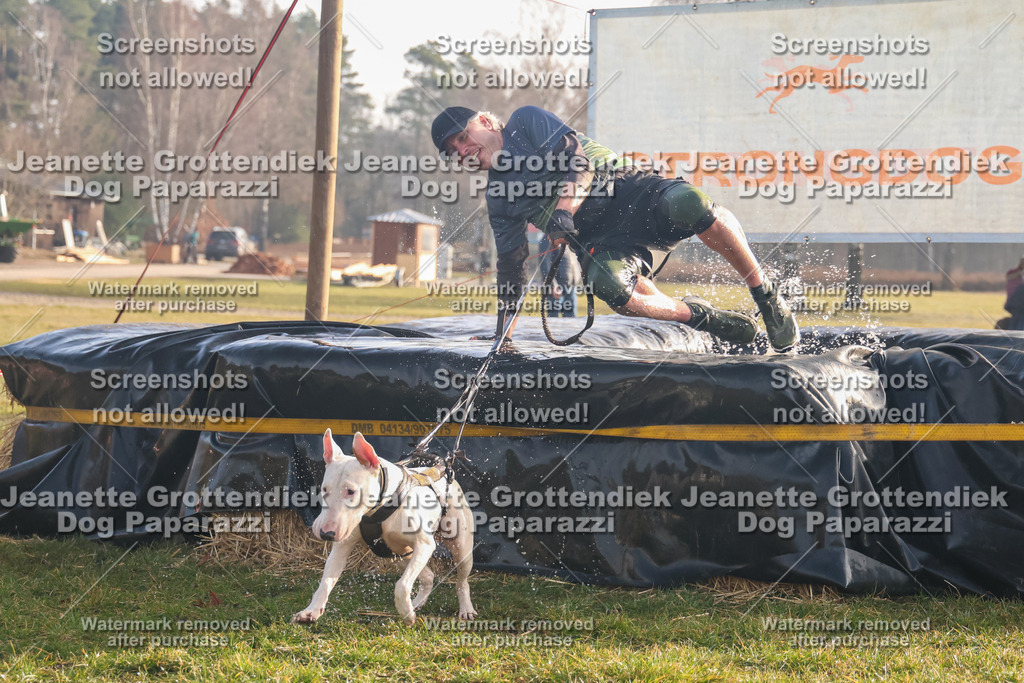 Dog Paparazzi - SD North 0326 900930-107 | Dog Paparazzi Jeanette Grottendiek Fotografie & Videografie - Realisiert mit Pictrs.com