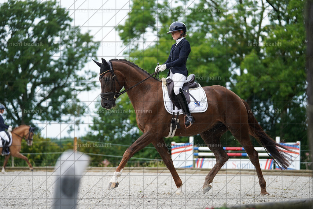 20230826-FAH04334 | Forstinning, 2023, Dressurturnier, Turniersportbilder, Turnierfotografen Bayern, Fotoagentur Herrmann, Reitsportfotografie, Turnierbilder