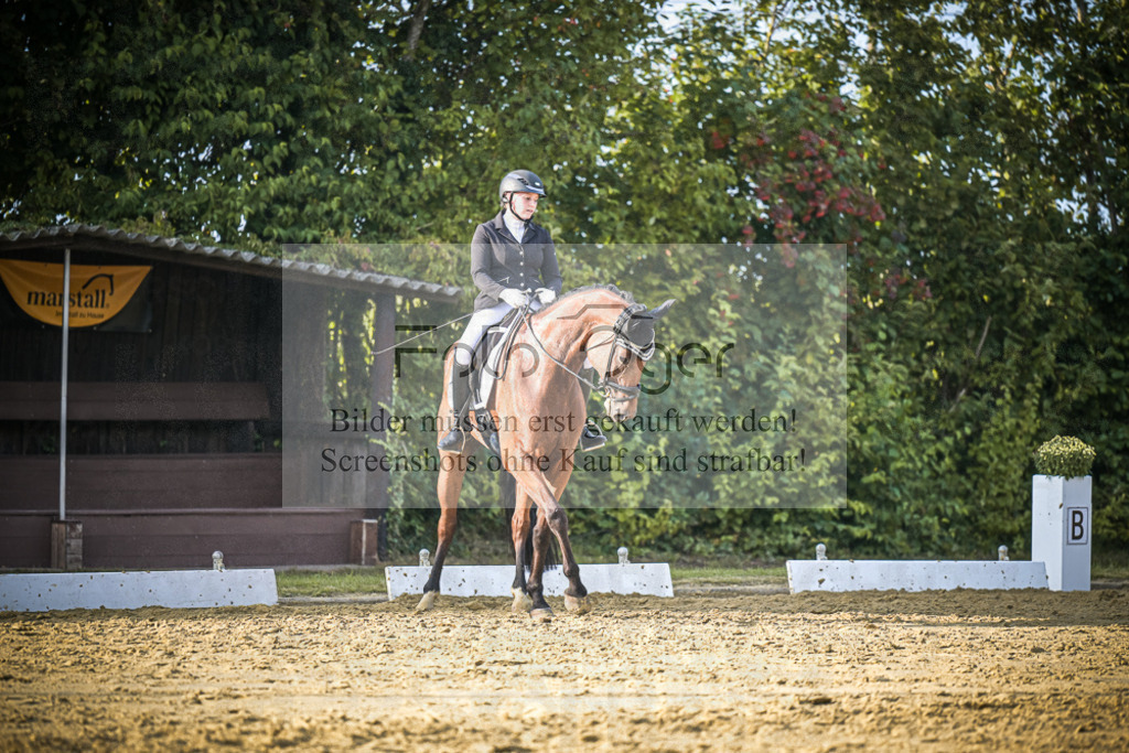 DOS_1508 | Entdecke hochwertige Reitturnierfotos von Foto Oger. Professionell, emotional und authentisch – jetzt Lieblingsmomente im Shop bestellen.Deutschlandweite Turnierfotografie. - Realisiert mit Pictrs.com