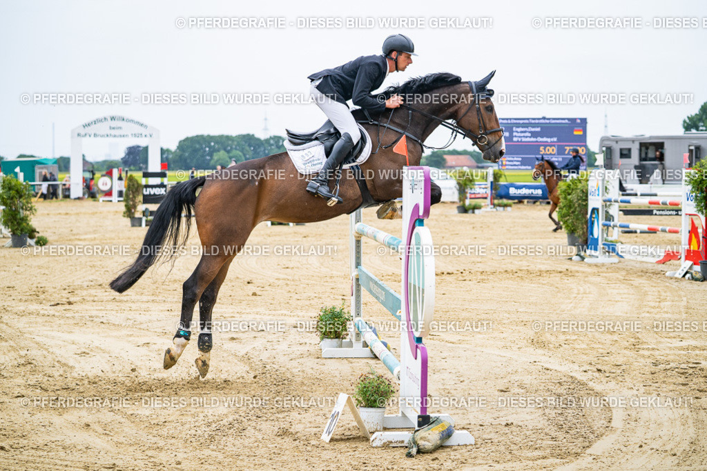 DSC09185 | Pferdegrafie