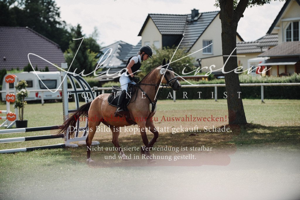 DSC_5864 | Pferde- und Turnierfotografie in Westsachsen. Pferdeportraits, Auftragszeichnungen und intuitive Kunst.