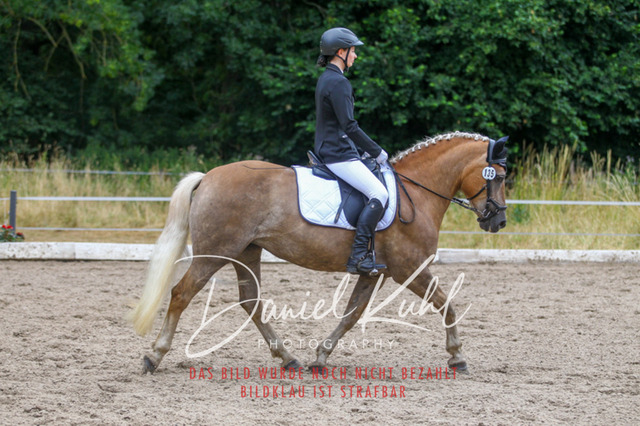 DKP47261 | Turniersportfotografie; Pferdefotografie; Dressurfotografie