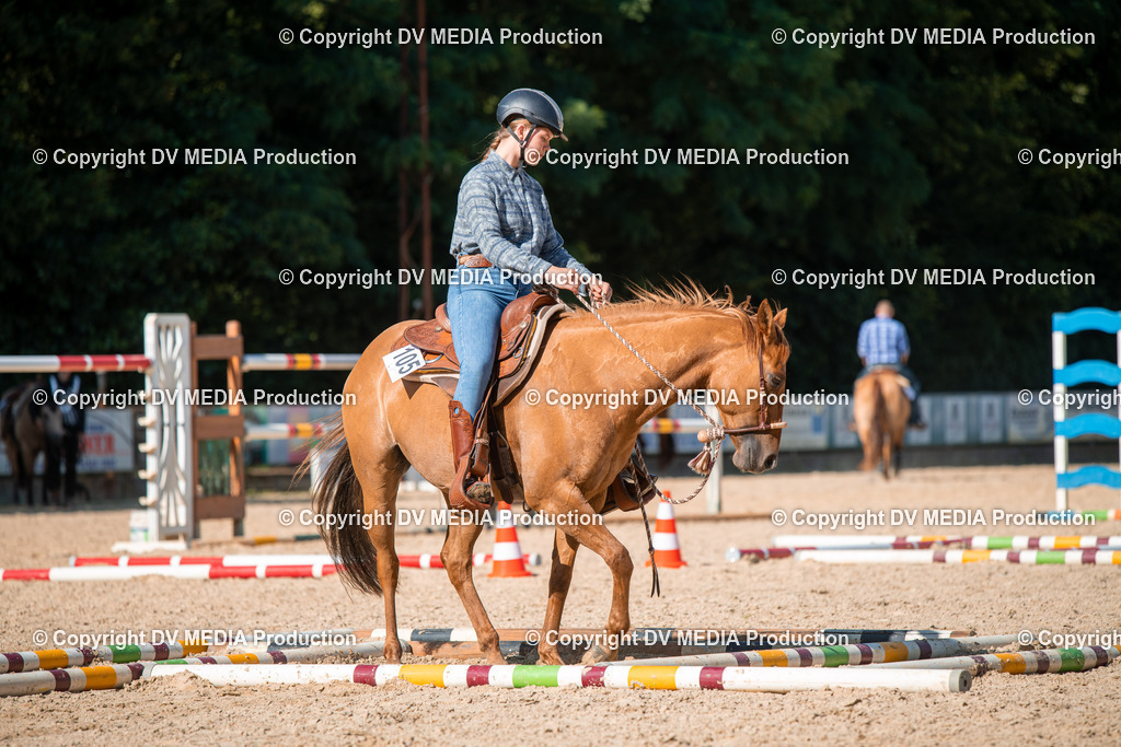 EWP_6975 | dv-media-shop - Realisiert mit Pictrs.com