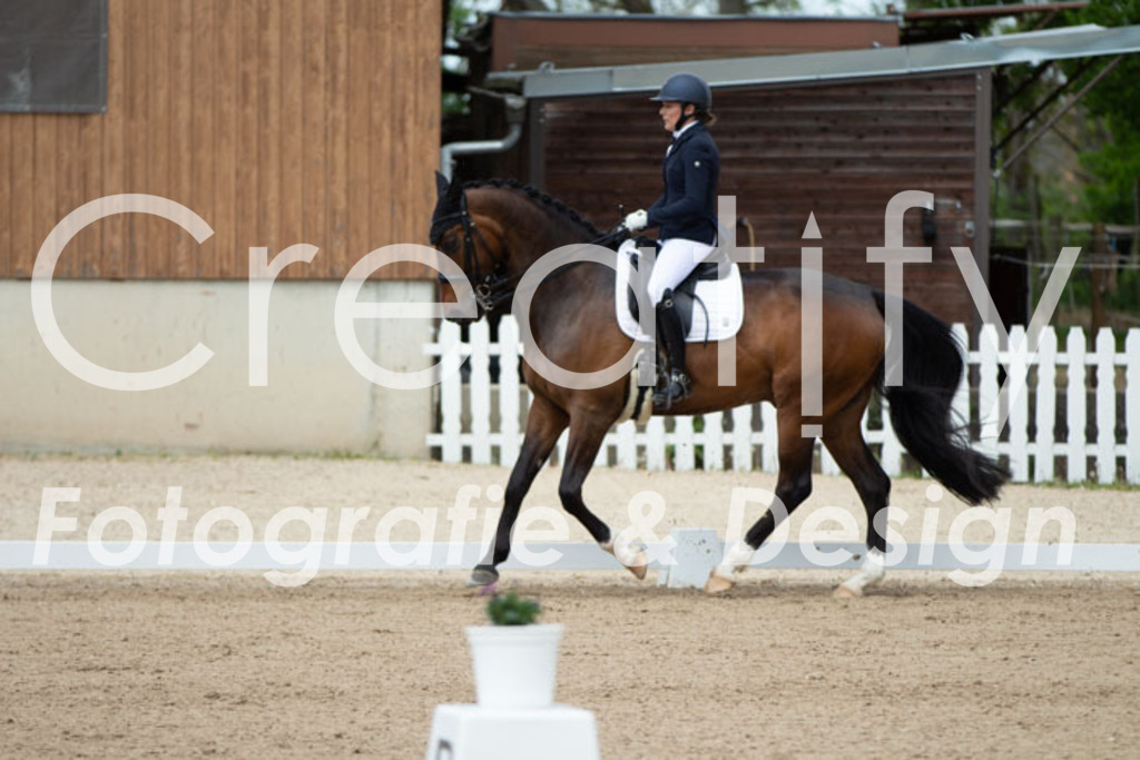 IMG_5977 | Creatify Fotografie