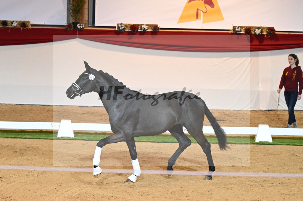 Kat-Nr. 40 Bon Courage_Klakow_1230099 | hf-fotografie - Realisiert mit Pictrs.com