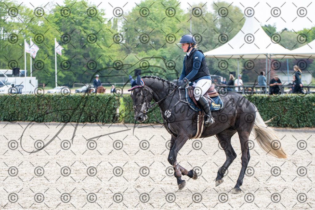 KPT_2721 | andre_photographic