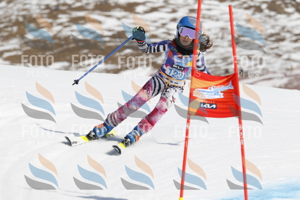 _U3G0754 | holidayphoto