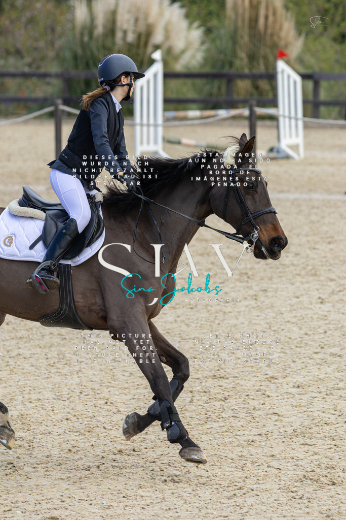 IMG_4971 | s-jay-photography - Realisiert mit Pictrs.com