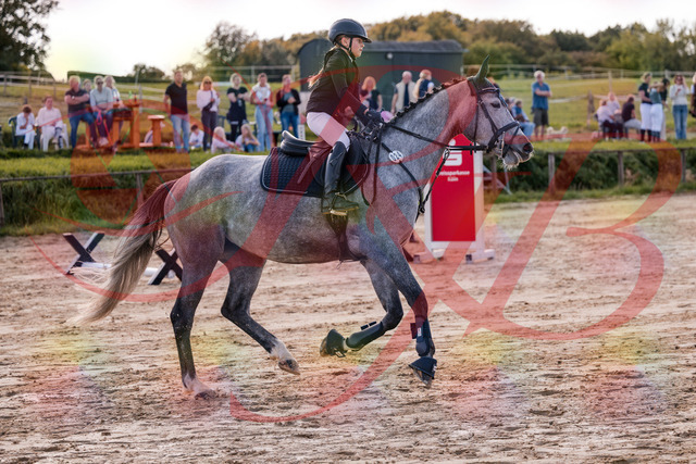 2026_10_03_Siefer-Hof_145139_Z81_30805157 | Professionelle Reitsport-, Turnier- und Eventfotografie von Robert Broda. Galerien mit ausgewählten und bearbeiteten Bildern direkt online ansehen und bestellen.