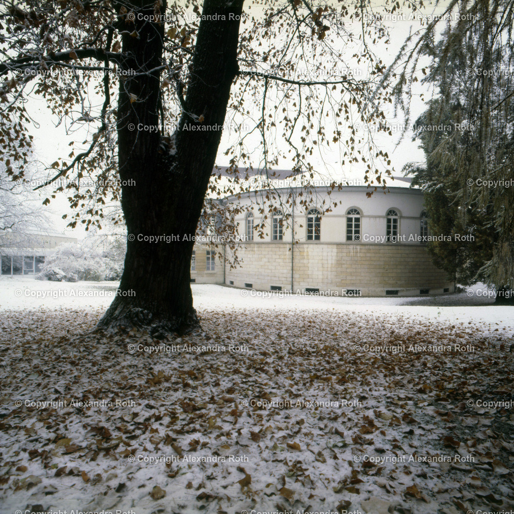 Aarau_0969 | onlineshop - Realisiert mit Pictrs.com