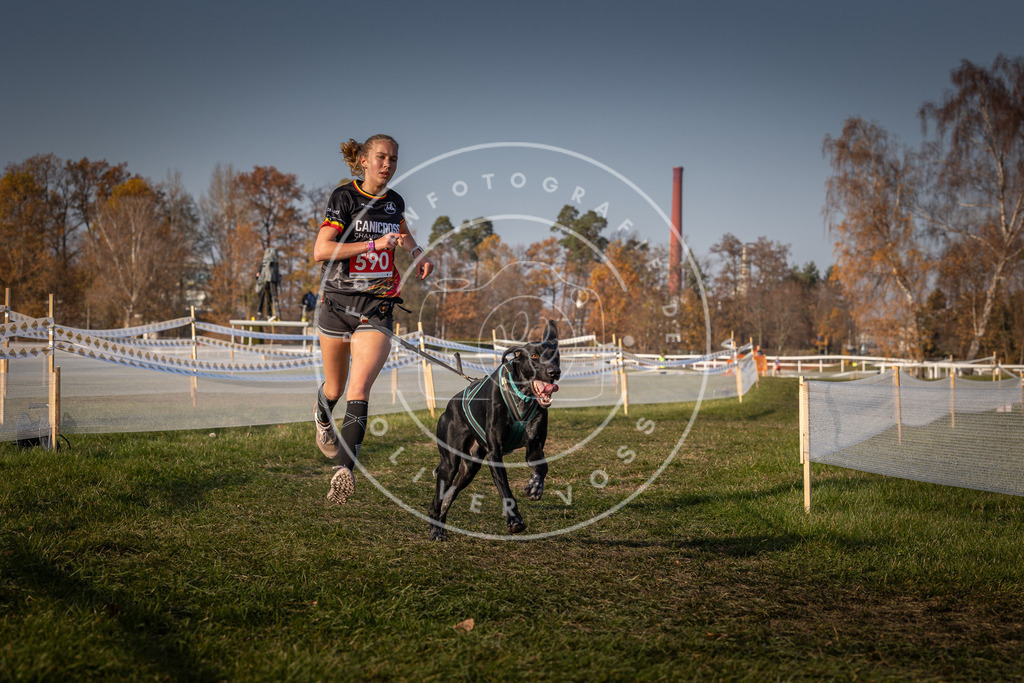 CaniXpix_0L8A9918 | Hundefotografie, Tierfotograf, Pfotenfotografie, Fotoshooting Hund, Hunde Portrait, Hundesport, Hundeportraits, Heideshooting, Hunde, Sportfotograf, Hundefotograf, Turnierhundsport, THS,  - Realisiert mit Pictrs.com