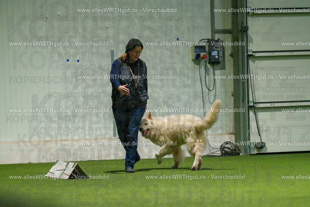 7R504227 | Professionelle Tierfotografie in Mönchengladbach von Daniel Wirth (allesWIRTHgut). Liebevolle & natürliche Bilder von Hunden & Katzen für unvergessliche Erinnerungen.