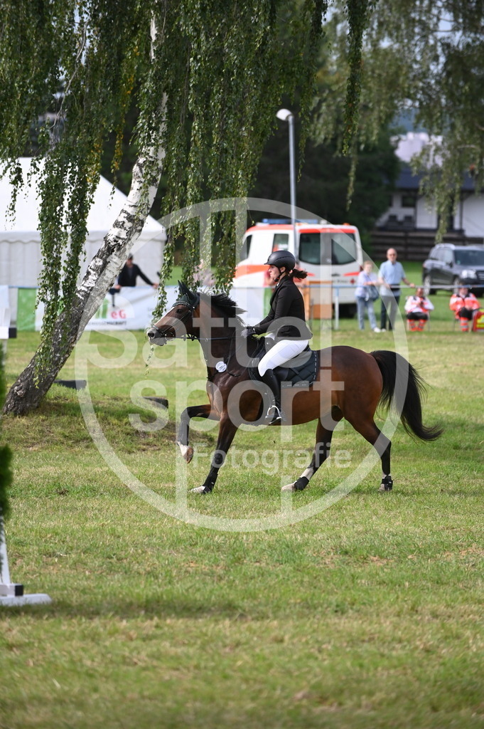 DSC_3004 | sattelsport - Realisiert mit Pictrs.com