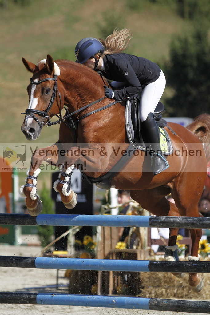 _MG_7923 | equestrian-live-com