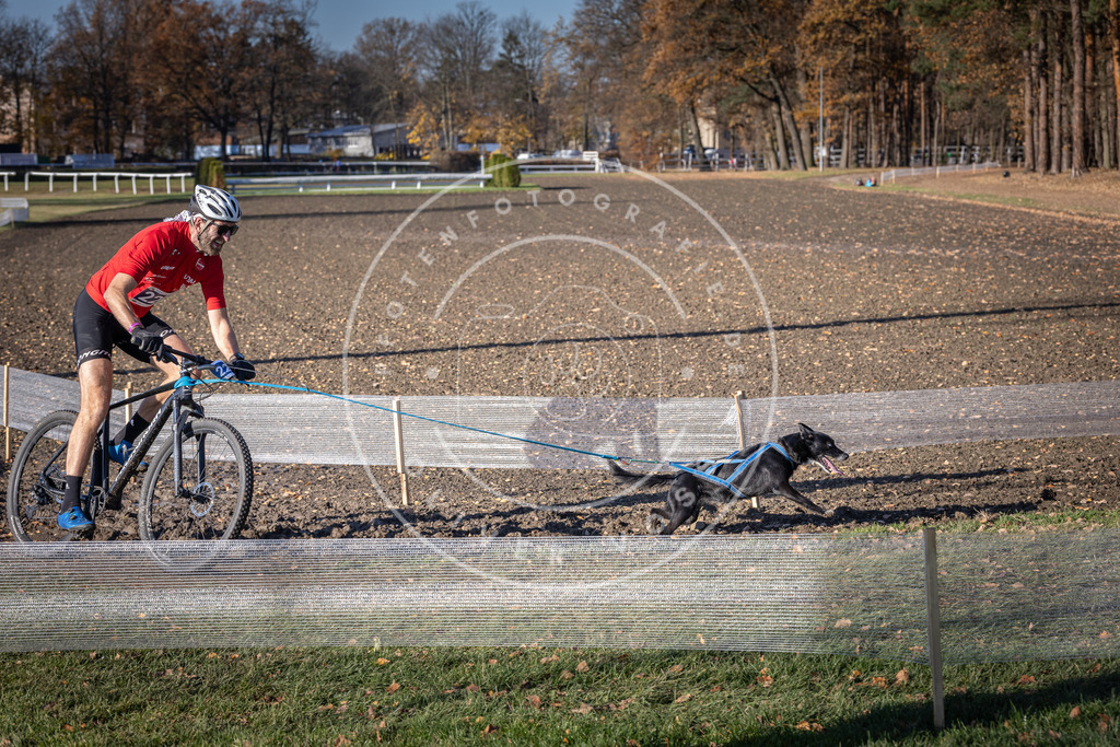 CaniXpix_DV3A3676 | Hundefotografie, Tierfotograf, Pfotenfotografie, Fotoshooting Hund, Hunde Portrait, Hundesport, Hundeportraits, Heideshooting, Hunde, Sportfotograf, Hundefotograf, Turnierhundsport, THS,  - Realisiert mit Pictrs.com