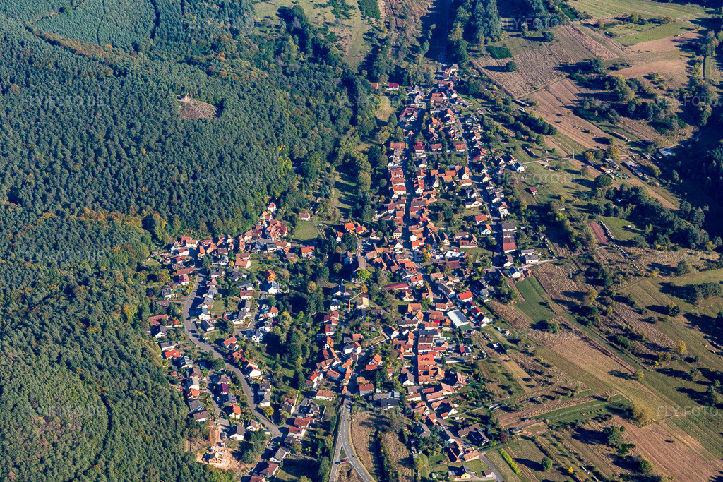 Luftbild: landwirtschaftlichen Feldern und Nutzflächen in Birkenhördt im Bundesland Rheinland-Pfalz in Deutschland. Foto: IMG_095263.jpg vom 16.10.2016 durch Werner Riehm/FLY-FOTO.de