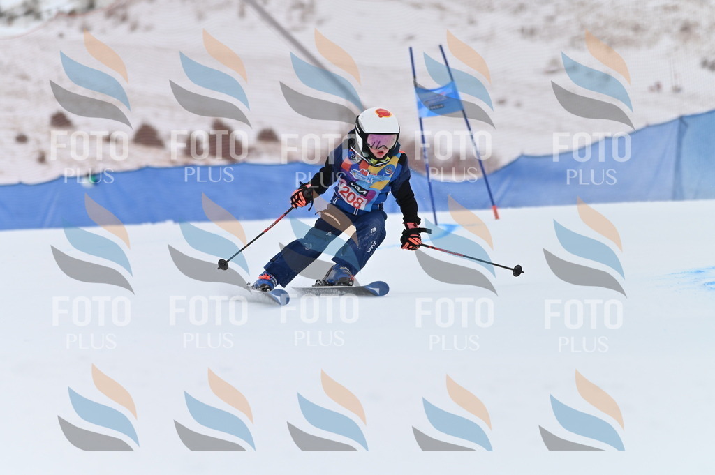 BGV_2282 | holidayphoto