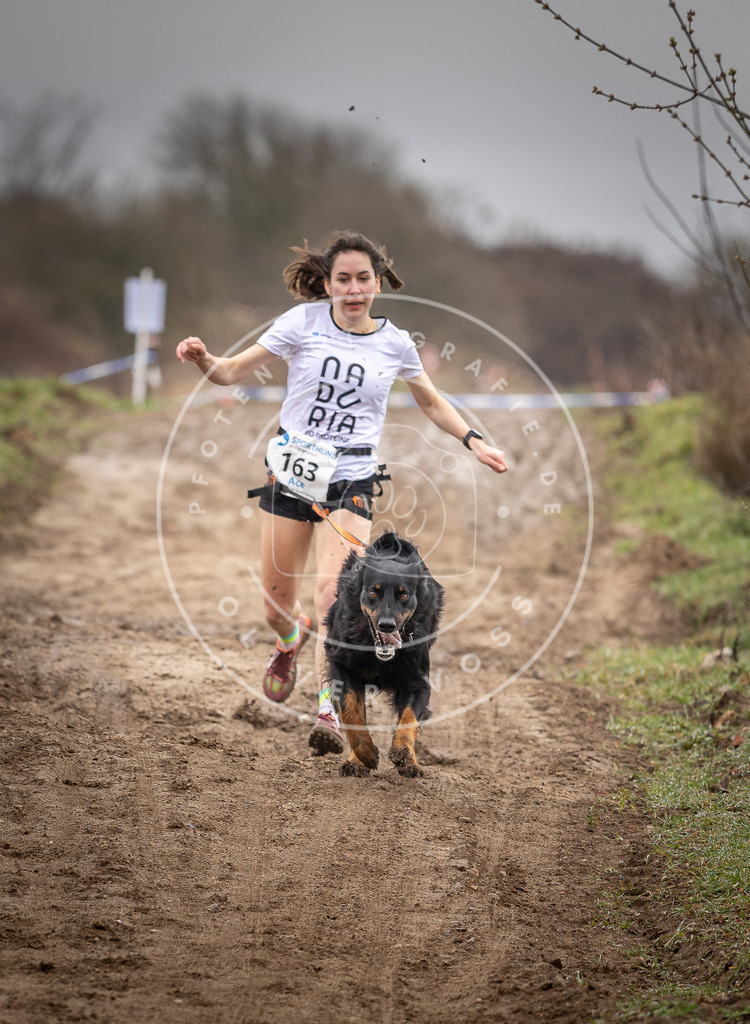 DV3A9605 | Hundefotografie, Tierfotograf, Pfotenfotografie, Fotoshooting Hund, Hunde Portrait, Hundesport, Hundeportraits, Heideshooting, Hunde, Sportfotograf, Hundefotograf, Turnierhundsport, THS,  - Realisiert mit Pictrs.com