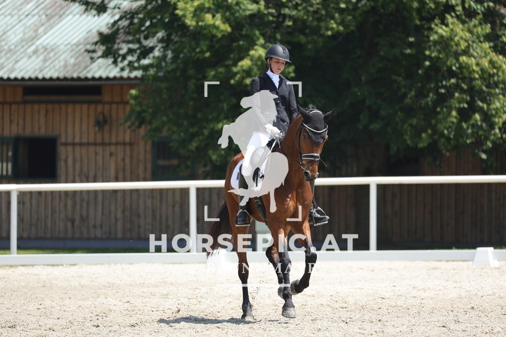 0P6A1656 | Willkommen bei Brunnmayr - Design & Fotografie – Ihrem Spezialisten für Reitturniere und Pferdeveranstaltungen in Oberösterreich, Salzburg und Bayern! Seit über 17 Jahren sind wir leidenschaftlich dabei.