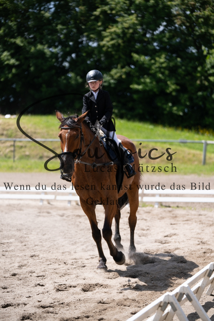 A7V02988 | Pferdefotograf