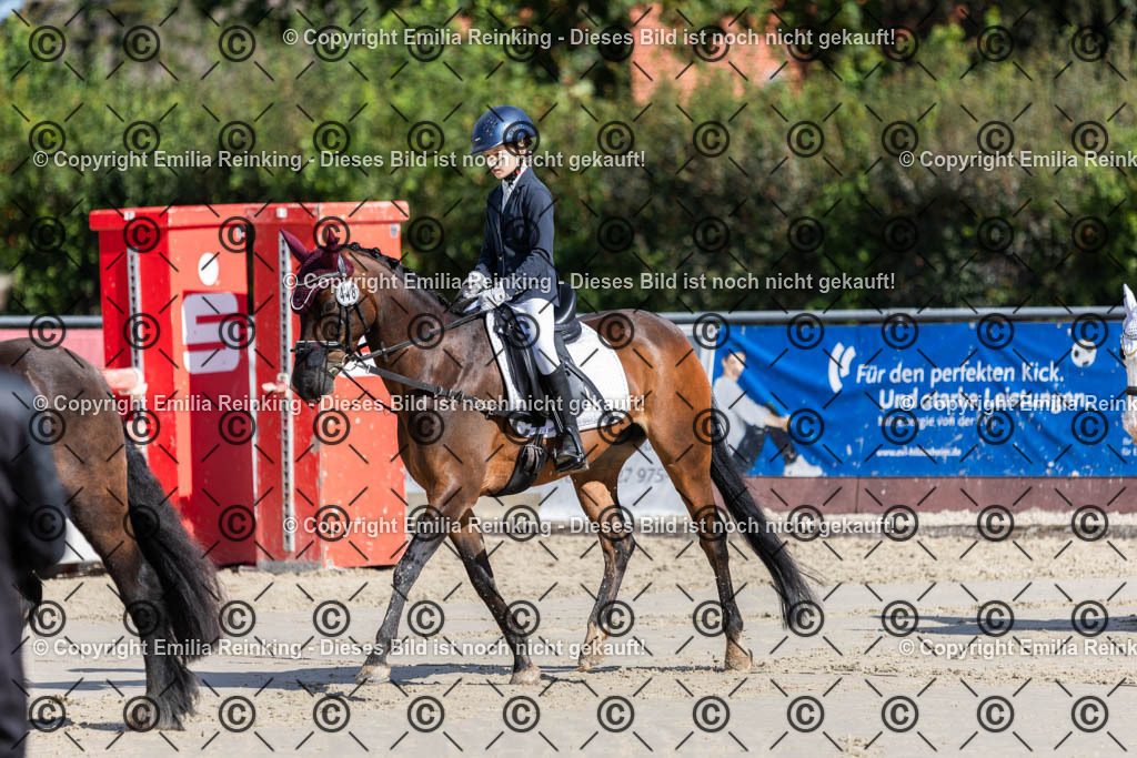 CL5A1810 | Emilia Reinking Fotografie - Realisiert mit Pictrs.com