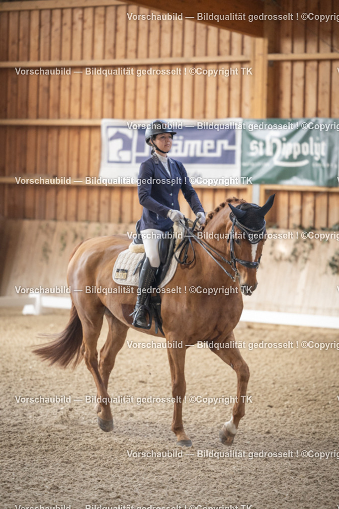 _D5A5802 | Emotionale Pferde- & People-Fotografie rund um Heidelberg, Leimen & Umgebung. Natürliche Fotos von Pferd, Mensch & Familie. Jetzt Termin sichern!