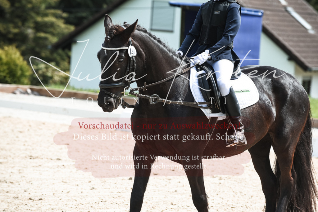 20230518_JK-Röhrsdorf-11-0907 | Pferde- und Turnierfotografie in Westsachsen. Pferdeportraits, Auftragszeichnungen und intuitive Kunst.