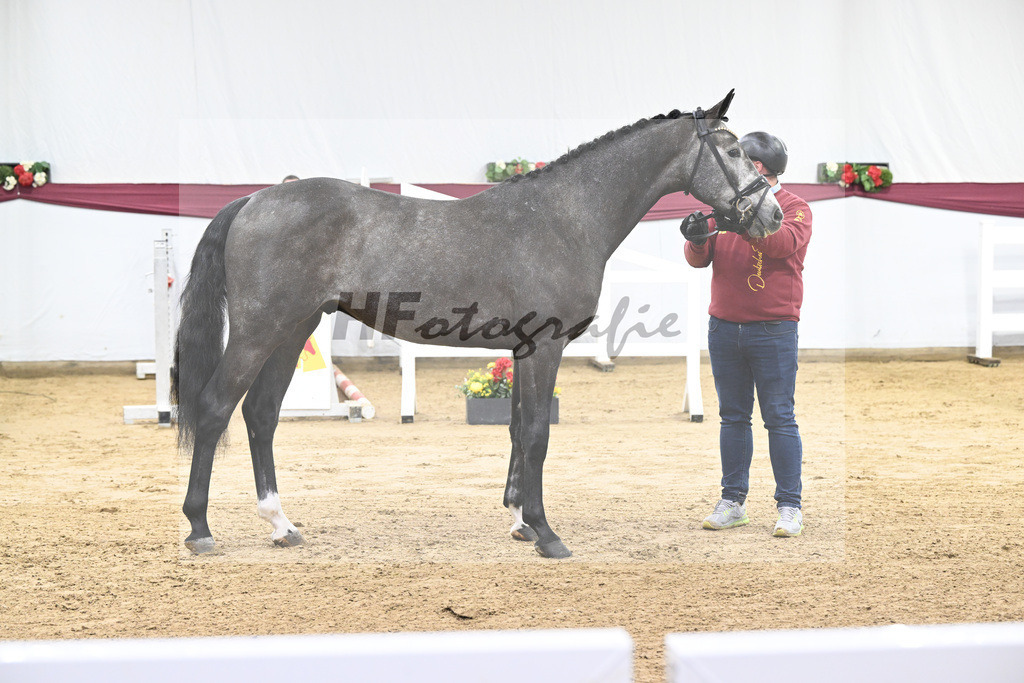 Kat-Nr. 72 Chacoon Blue x Contagio_Matthias Schlamminger GmbH_47252929 | hf-fotografie - Realisiert mit Pictrs.com