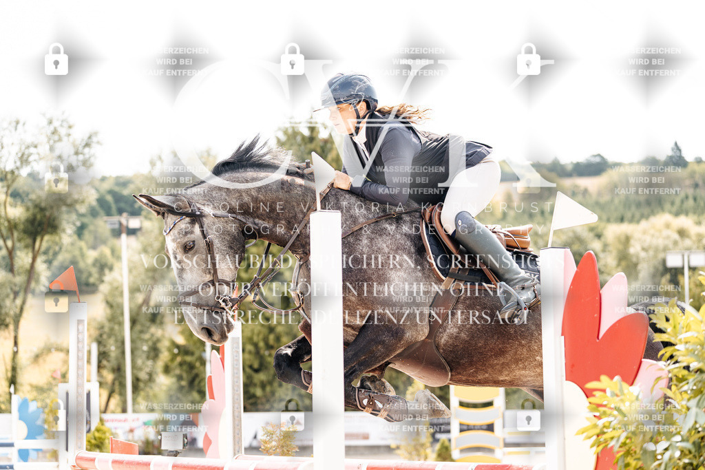 CK909089 | Turnierfotografie Pferdefotografie Trier Rheinland-Pfalz Pferdesport Reitsport Tierfotografie Sportfotografie Pferdevideo Pferdevideografie Equestrianvideography equestrianphotography  - Realisiert mit Pictrs.com