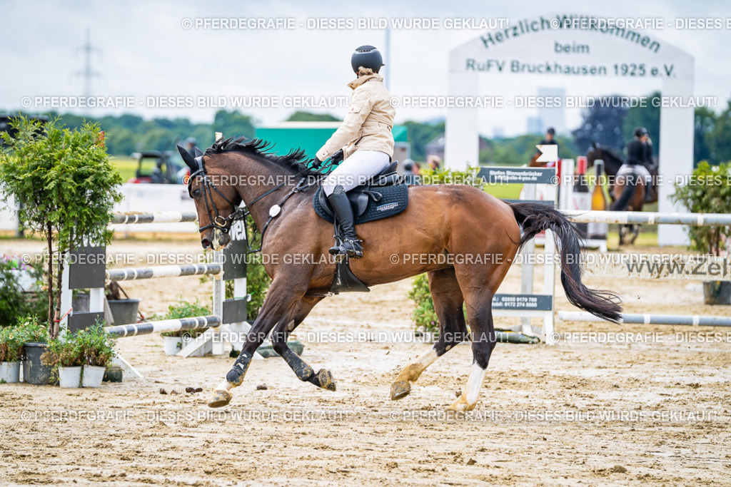 DSC03926 | Pferdegrafie