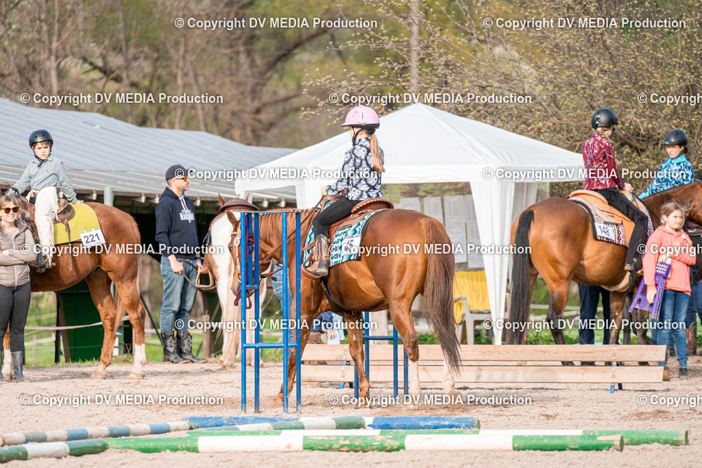 BAL02902 | dv-media-shop - Realisiert mit Pictrs.com