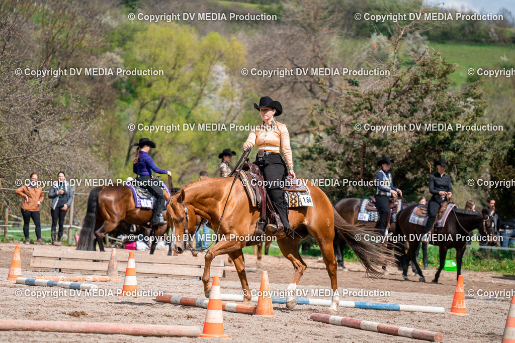 BAL02433 | dv-media-shop - Realisiert mit Pictrs.com