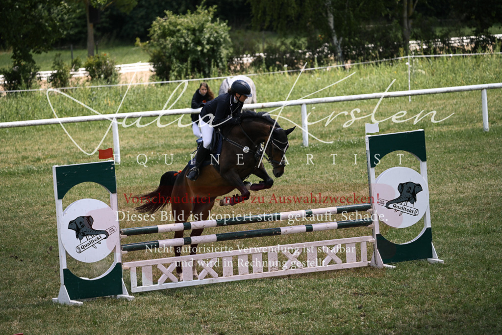 DSC_9824 | Pferde- und Turnierfotografie in Westsachsen. Pferdeportraits, Auftragszeichnungen und intuitive Kunst.
