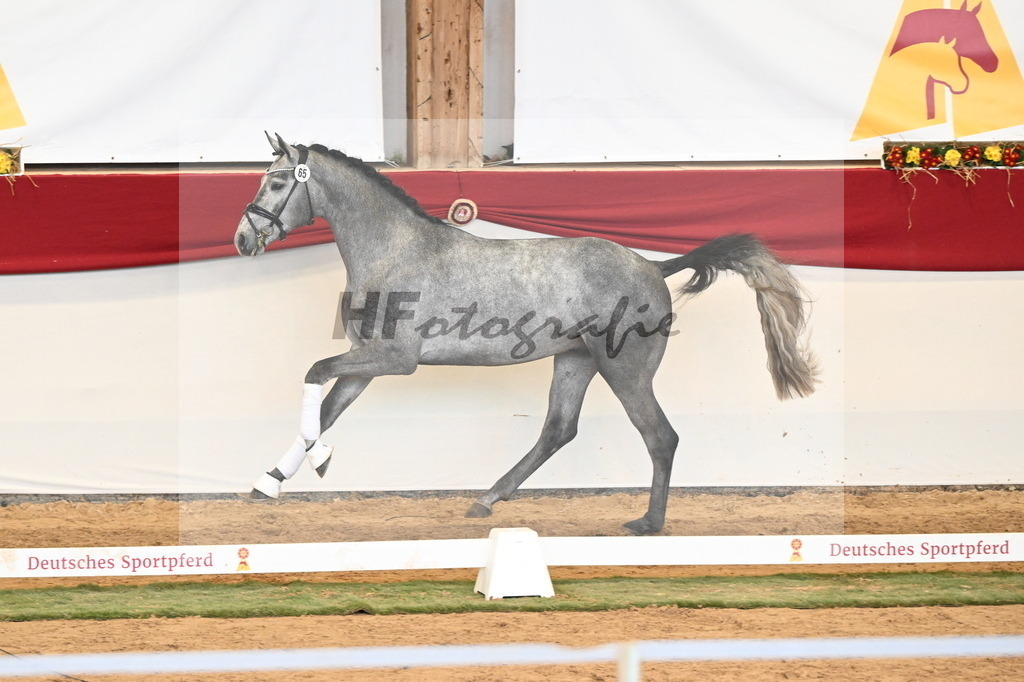Kat.-Nr. 65 v. Fynch Hatton_Berger _ Kopp_3260801 | hf-fotografie - Realisiert mit Pictrs.com
