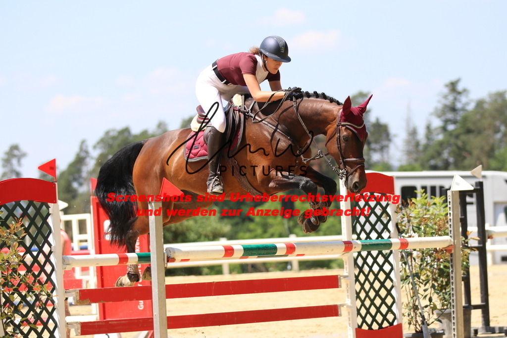 IMG_2338 | lmwpictures - Realisiert mit Pictrs.com