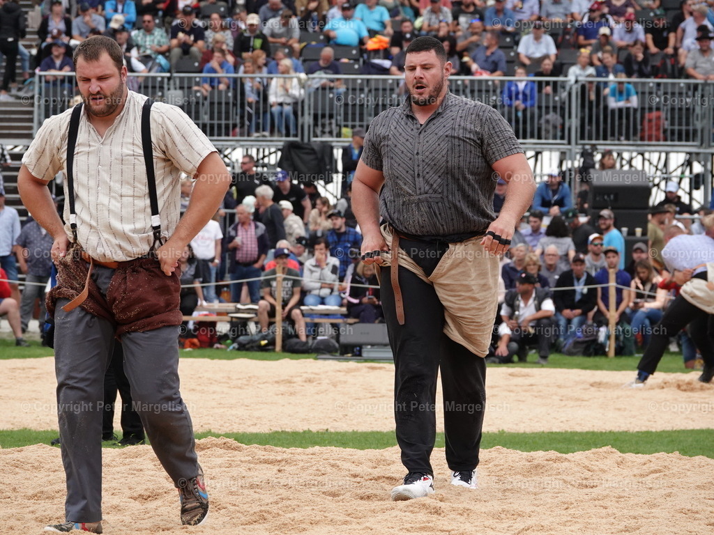 DSC08369 | Schwingen - Realisiert mit Pictrs.com