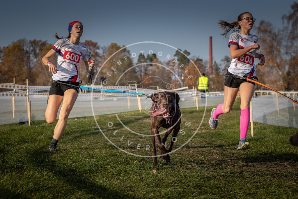 CaniXpix_0L8A0010 | Hundefotografie, Tierfotograf, Pfotenfotografie, Fotoshooting Hund, Hunde Portrait, Hundesport, Hundeportraits, Heideshooting, Hunde, Sportfotograf, Hundefotograf, Turnierhundsport, THS,  - Realisiert mit Pictrs.com