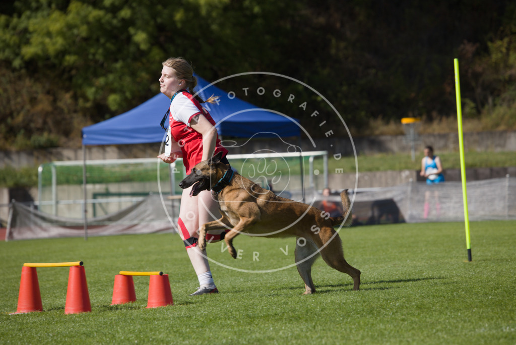 0L8A7572 | Hundefotografie, Tierfotograf, Pfotenfotografie, Fotoshooting Hund, Hunde Portrait, Hundesport, Hundeportraits, Heideshooting, Hunde, Sportfotograf, Hundefotograf, Turnierhundsport, THS,  - Realisiert mit Pictrs.com