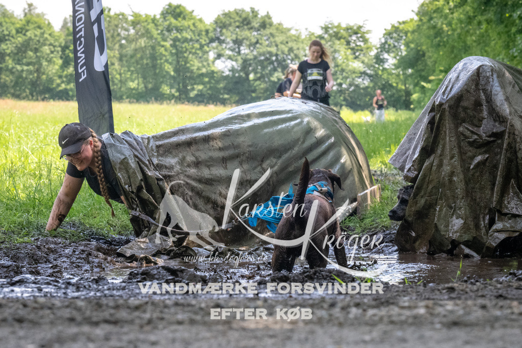 1200_ZZ90903 | kk-dogfotos