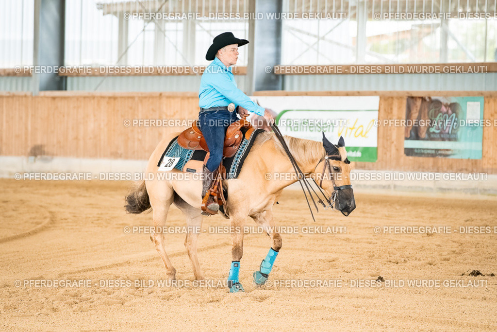 DSC02241 | Pferdegrafie